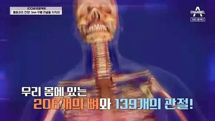 [예고] 통증과의 전쟁! 3mm 무릎 연골을 지켜라!