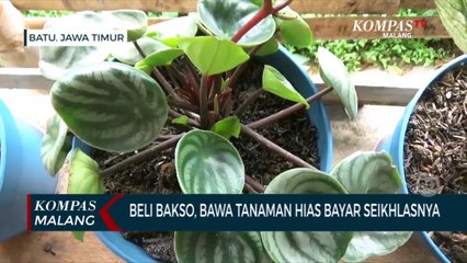 Beli Bakso Bisa Bawa Pulang Tanaman Hias,  Bayar Seikhlasnya