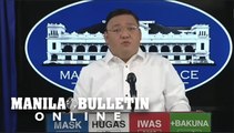 Robredo's presidential bid receives terse reaction from Duterte spokesman