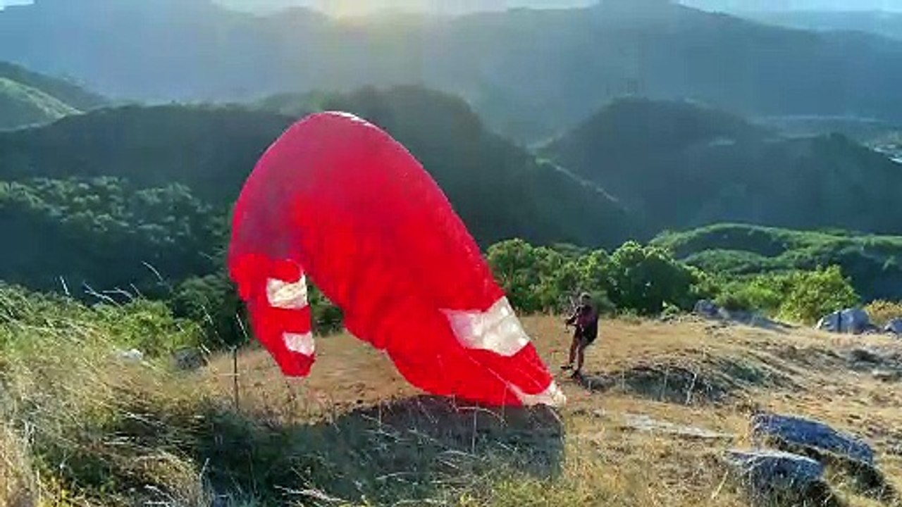 Paraglider - 49509