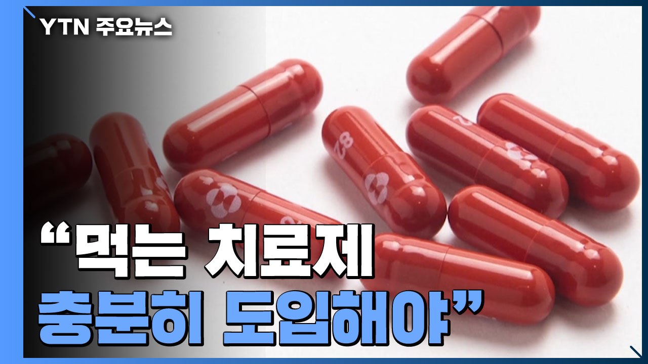 "11월 9일 단계적 일상회복 가능...먹는 치료제 추가 확보 계획" / YTN