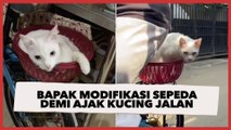Kreatif! Bapak Modifikasi Sepeda Demi Ajak Kucing 'Gemoy' Jalan-jalan Keliling Komplek