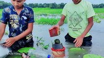 Amazing Bottle Hook Fishing Technique | Catching Fish With Plastic Bottle Trap | Fish Trapping Video