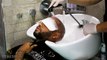 Hair Washing After Hair Transplantation I Now Hair Time