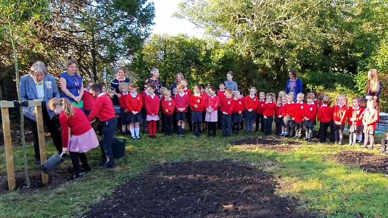 Rumboldswhyke school tree planting