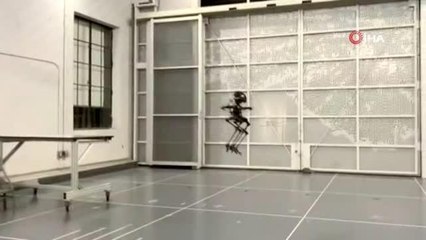 Hem uçabilen hem de yürüyebilen robot hünerlerini sergiledi