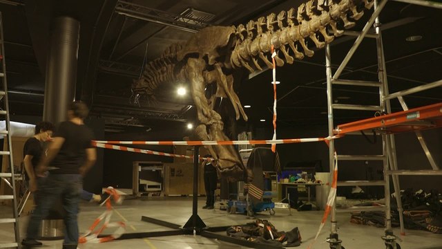 Une nouvelle expo de dinosaures au Musée des Sciences naturelles