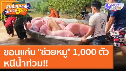 ขอนแก่น "ช่วยหมู" 1,000 ตัว หนีน้ำท่วม!! (7 ต.ค. 64) คุยโขมงบ่าย 3 โมง