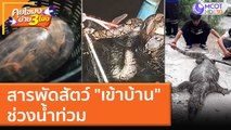 สารพัดสัตว์ 