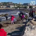 Marseille: Plus de 500 personnes ramassent les déchets sur les plages