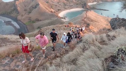 Berusaha Bangkit, Pariwisata Pulau Komodo Menanti Wisatawan