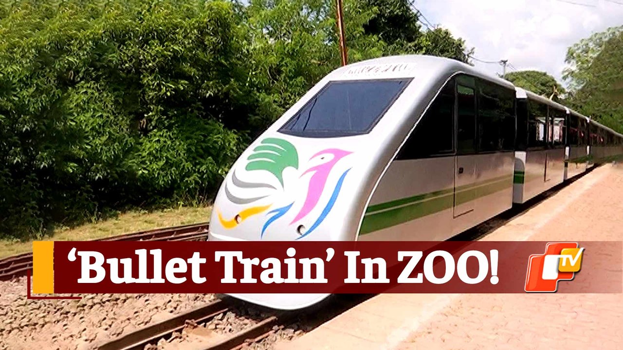 Nandankanan Zoo Toy Train Joy Ride To Resume After 7 years video