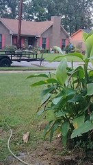 Men Offer Commentary While Neighbors Make a Scene