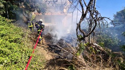 Son dakika haberleri... Alanya'da bahçe yangını kısa sürede söndürüldü