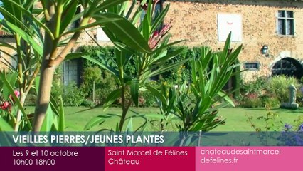 Toutes vos sorties dans la Loire !