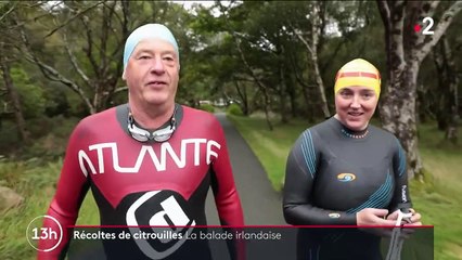 Irlande : au cœur de la récolte de citrouilles