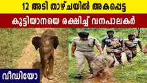 Baby elephant was reunited with the family after rescue by TN foresters in Mudumalai