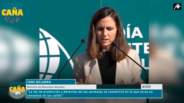 La ley de protección animal un curso para tener mascotas o prohibición de los animales en las Cabalgatas de Reyes