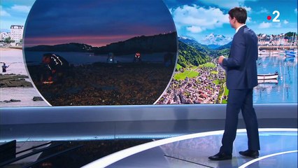 Littoral : les grandes marées font la joie des pêcheurs à pied