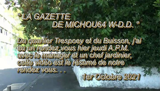 LA GAZETTE DE MICHOU64 W-D.D. - 1er OCTOBRE 2021 - PAU - DEUX COINS DANGEREUX POUR LES PIÉTONS AVENUE NITOT