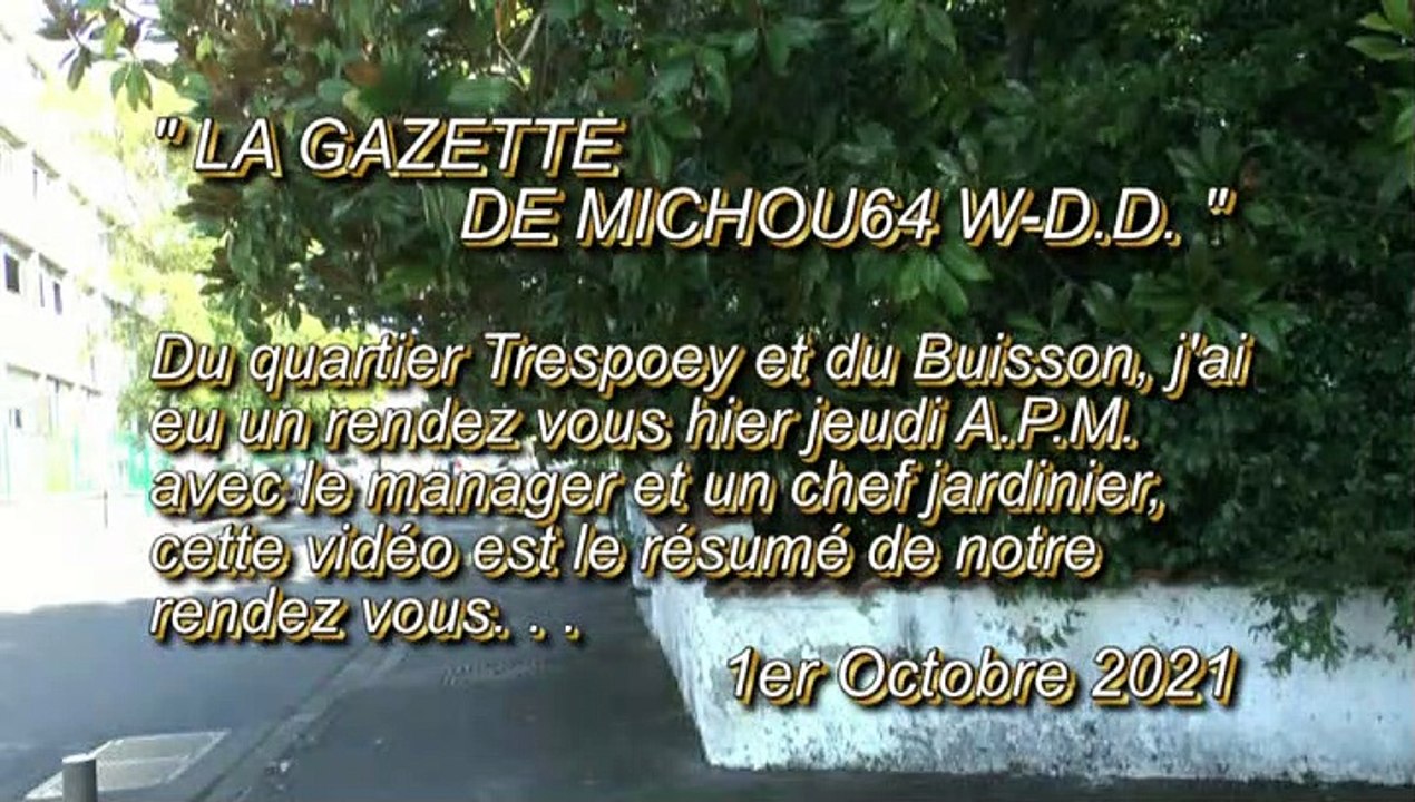 LA GAZETTE DE MICHOU64 W-D.D. - 1er OCTOBRE 2021 - PAU - DEUX COINS DANGEREUX POUR LES PIÉTONS AVENUE NITOT