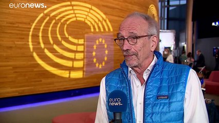 "Nicht nachhaltig" - EU-Subventionen für Waldabholzung in der Kritik