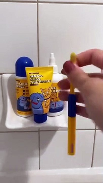 Un service spa de luxe pour deux adorables chats !