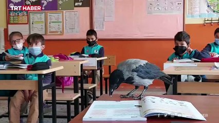 "Duman" iyilik meleğinin peşinden ayrılmıyor