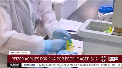 Pfizer asks US to allow COVID shots for kids ages 5 to 11