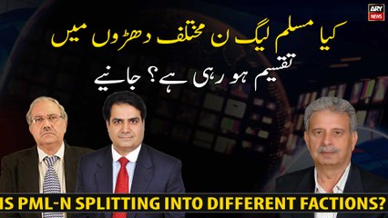Is PML-N splitting into different factions?