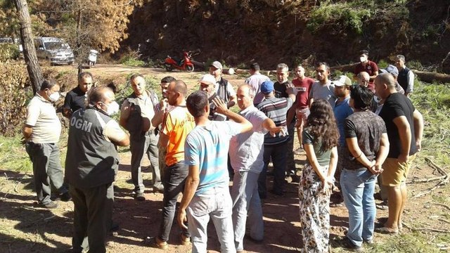 Yangın bölgesinde yanmamış ağaçların da kesilmesine isyan ettiler