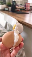 Son oeuf dur ressemble à un astronaute