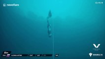 Record du monde de plongée en apnée battu : 120m de profondeur