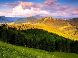 Beautiful relaxing morning music | Calming music | Meditation |