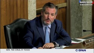 Watch Ted Cruz Grill Assistant Attorney General Over Parents' Right To Protest CRT At Schools.