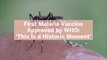 First Malaria Vaccine Approved by WHO: 'This Is a Historic Moment'