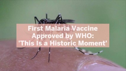 Download Video: First Malaria Vaccine Approved by WHO: 'This Is a Historic Moment'