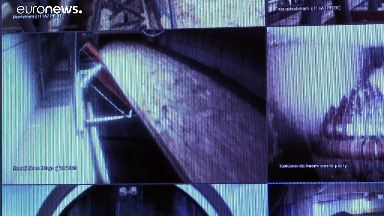 Over 100 NGOs want EU to end use of biofuel as 'renewable' energy