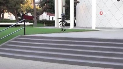 Hem uçabilen hem de yürüyebilen robot hünerlerini sergiledi