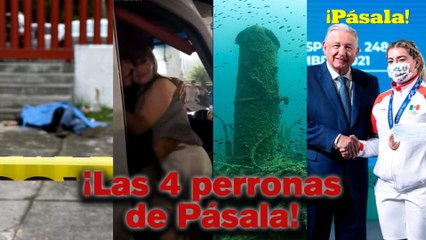 ¡LAS 4 PERRONAS DE PÁSALA!