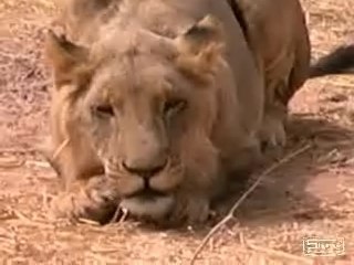 Visite du parc animalier de Ziniaré