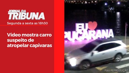 Vídeo mostra carro suspeito de atropelar capivaras