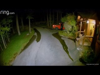 Bear Breaking Into Truck in Tahoe