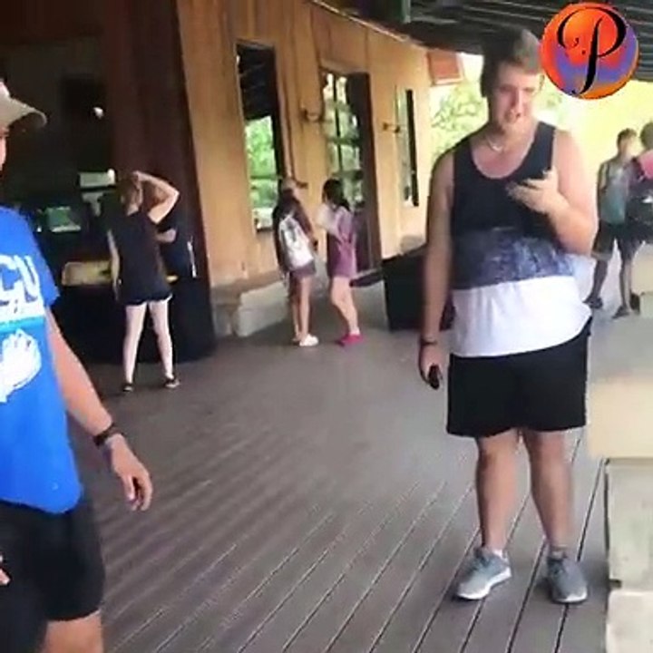 Funny surprise fails