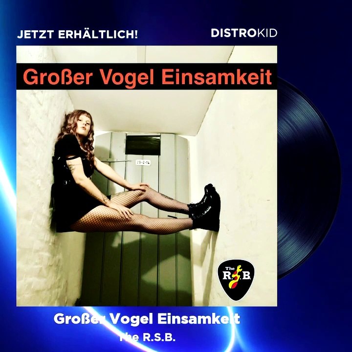 Teaser 'Großer Vogel Einsamkeit' by THE R.S.B. (Darkwave, Synthiepop, NDW)