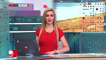 Pitbull que aterroriza a un barrio: Soprama señala que por ley la responsabilidad es de los dueños