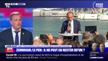 Louis Aliot, maire RN de Perpignan, à propos d'Eric Zemmour: 