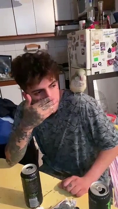 Bird Grooves to Beatboxing