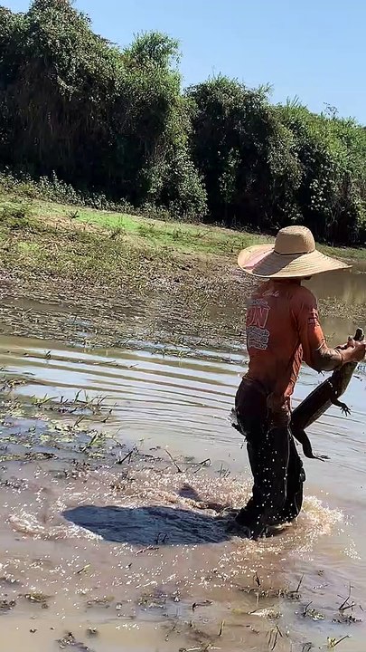 Uncle Jumps and Captures Baby Alligator Then Re...