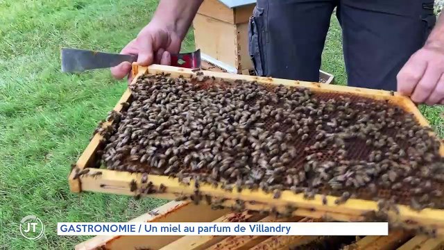 GASTRONOMIE / Un miel au parfum de Villandry